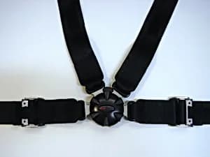 Rotary buckle, closed