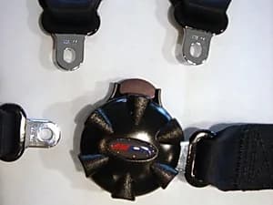 Rotary buckle, open